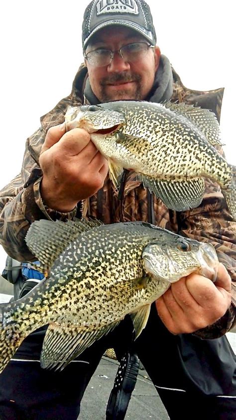 Where are the best crappies lakes in Wi .